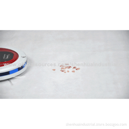 Robot vacuum cleaner
